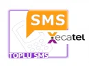 What is Bulk Messaging?