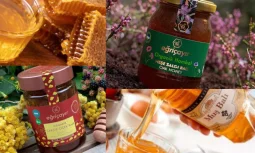 Anzer Honey Faydaları Nelerdir: Doğanın Şifalı Mucizesi