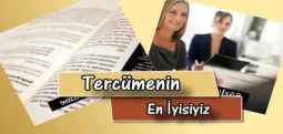 We are the Best at Translation