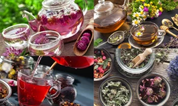 Bitki Çaylarının Yararları: Doğadan Gelen Şifa