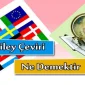 Riley Çeviri Ne Demek?